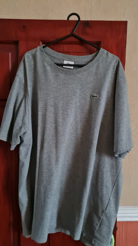 lacoste t shirt size 7